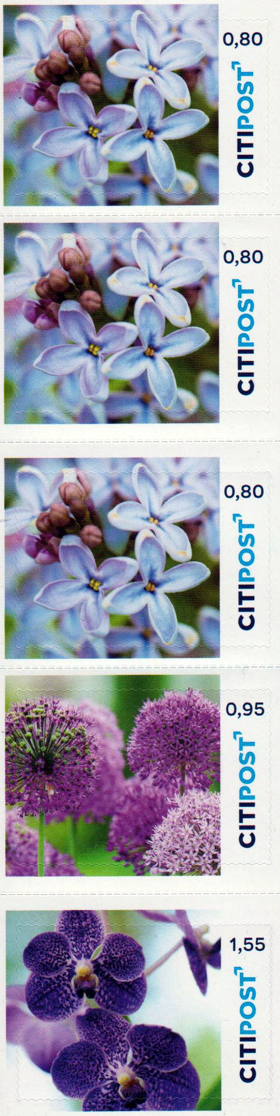 Blumen-Mix 2022, Portoänderung