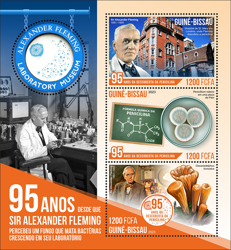 Entdeckung des Penicillin, Alexander Fleming