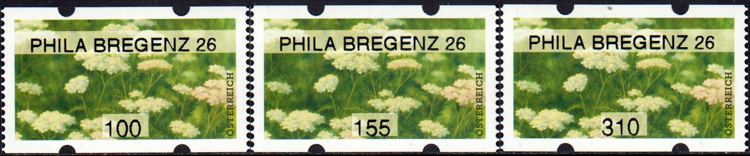 Sommer 2026, Schafgarbe "Phila Bregenz 26"