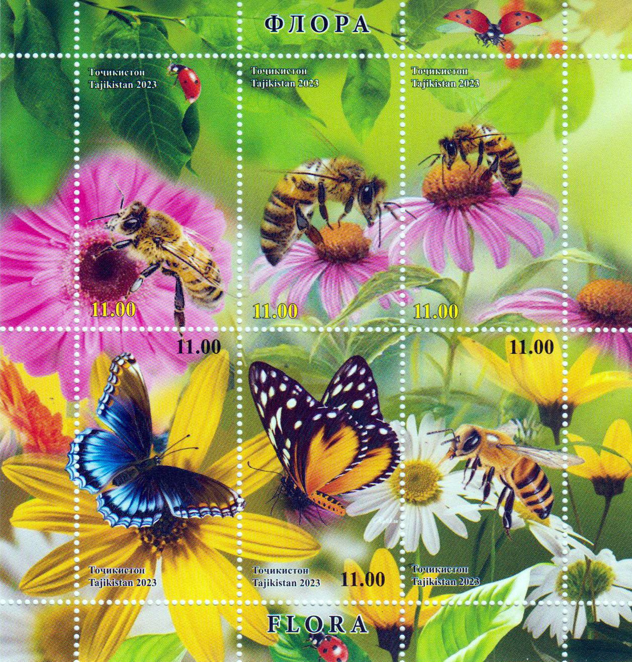 Block: Flora und Insekten 2023
