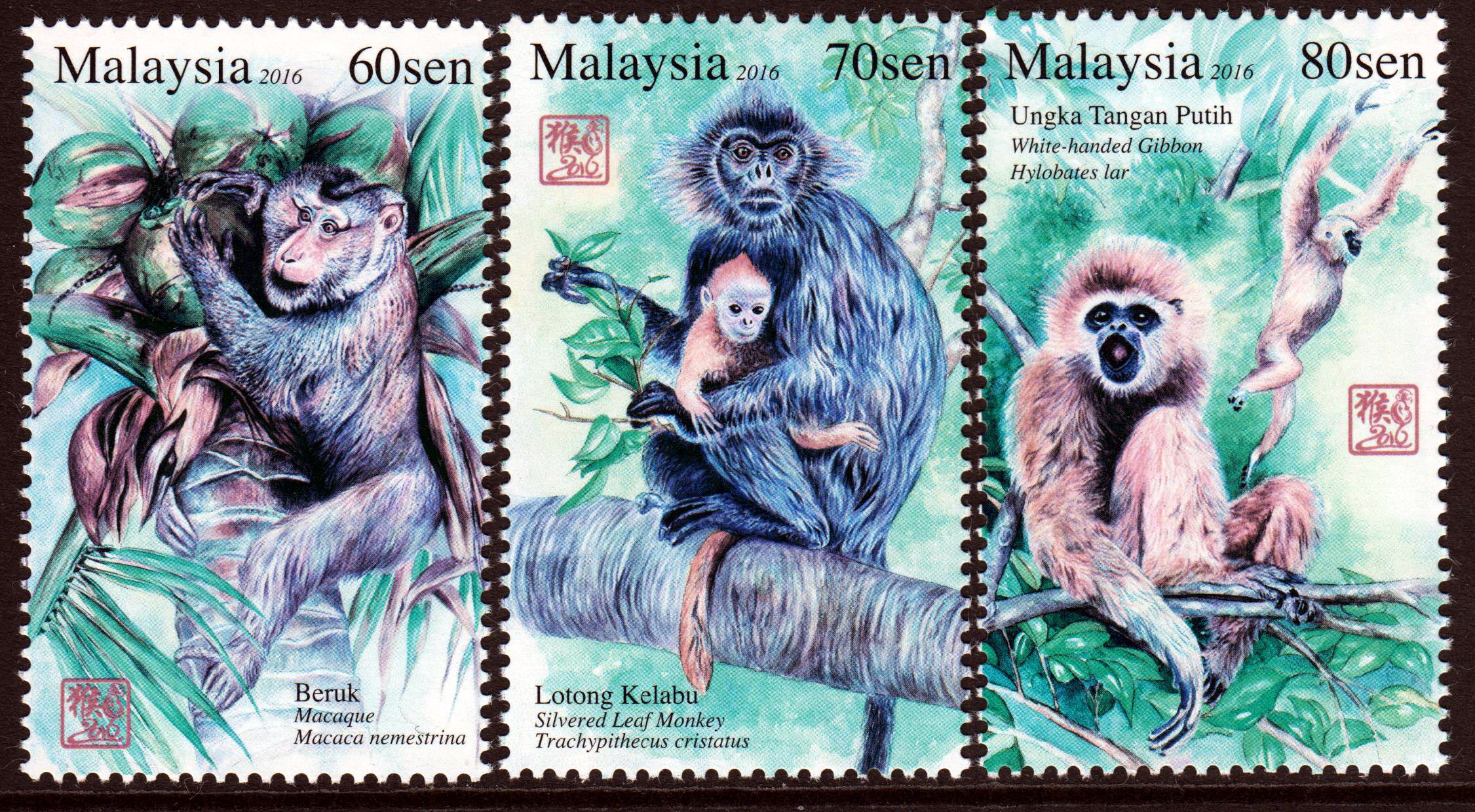 Primaten Serie 2 (16P01)