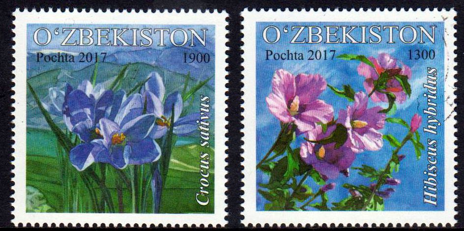 Flora 2017, Blumen