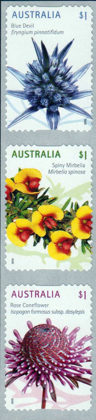 Wildblumen sk, 3er Streifen (15PAG)