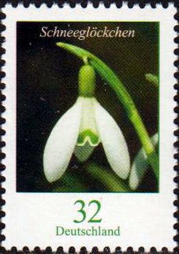 Dauer: Blumen, Schneeglöckchen 2022