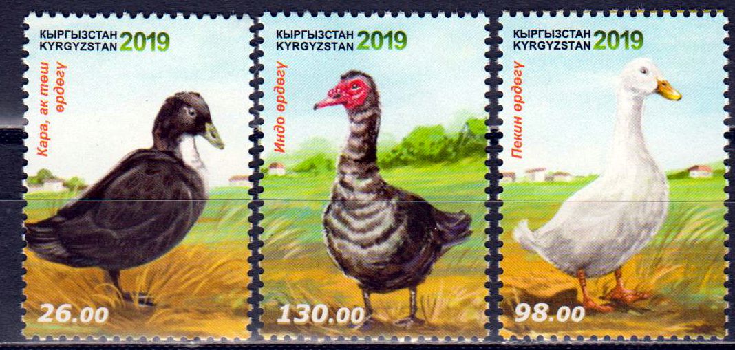 Enten 2019