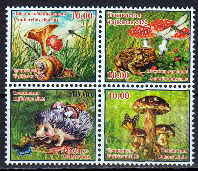 Pilze 2023, Igel, Frosch