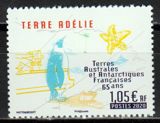Terre Adelie 2020, Pinguin