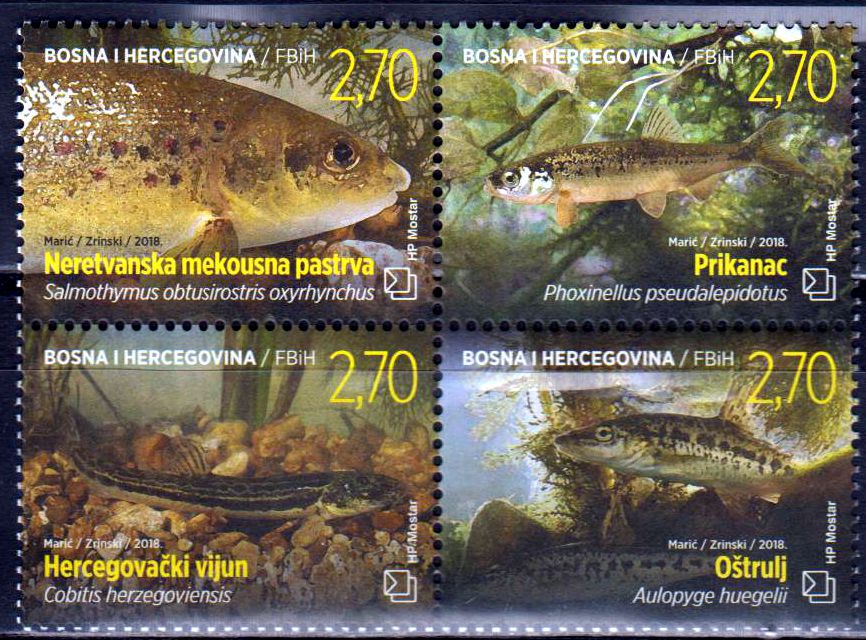Fauna 2018, Fische