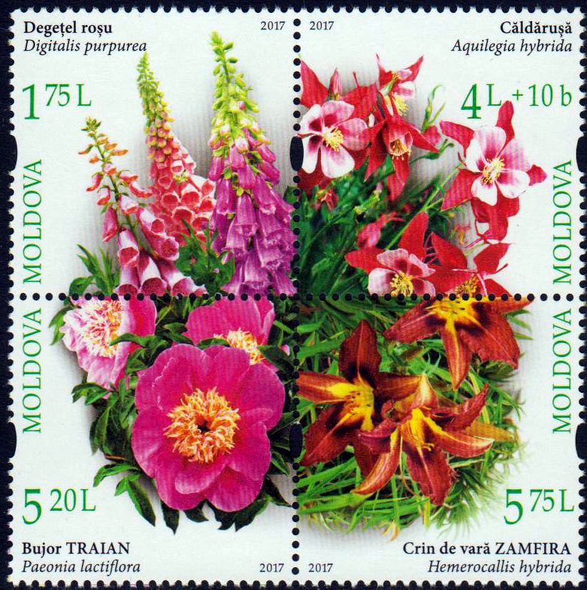 Zdr. Botanischer Garten, Blumen