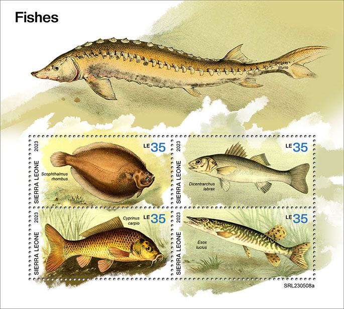 Fische 2023