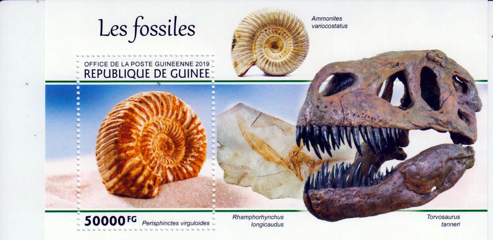 Block: Fossilien 2019