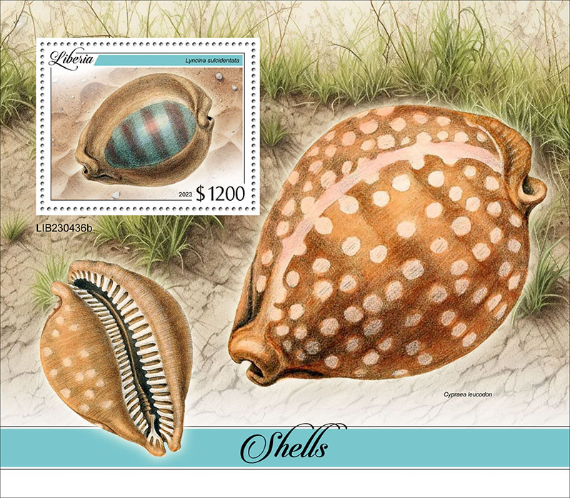 Block: Muscheln 2023