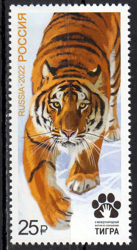 Internationales Tiger Forum 2022