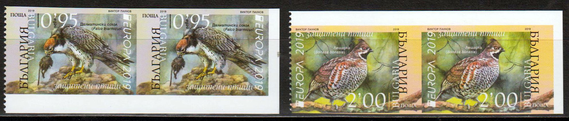 Europa 2019, Vögel, a. MH