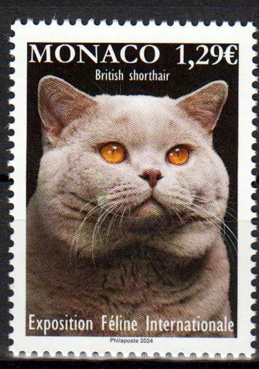 Katzenausstellung 2024