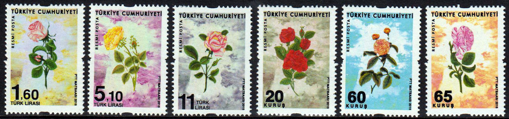 Dauer: Blumen, Rosen