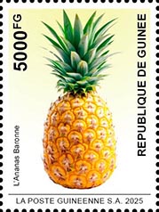 Baroness Ananas 2025