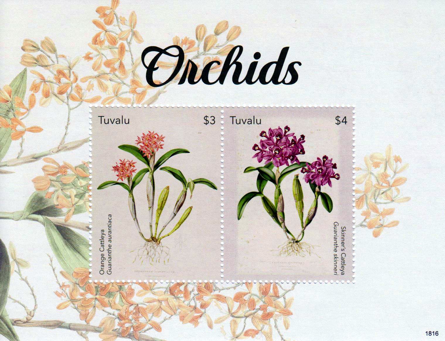 Block: Orchideen  2018