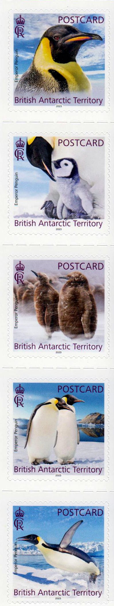 Kaiserpinguine 2023, sk