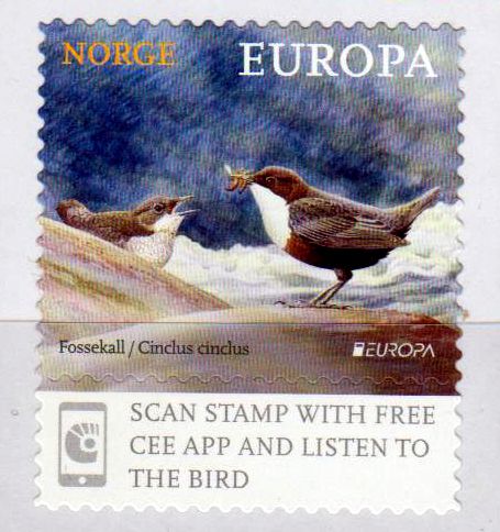 Europa 2019, Vögel