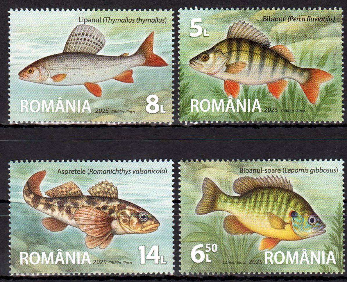Fischarten 2025