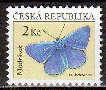 Dauer: Schmetterling 2020, Modrasek