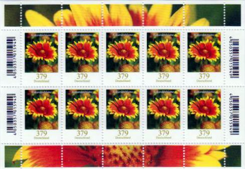 Dauer: Kokardenblume 2018 mit Code