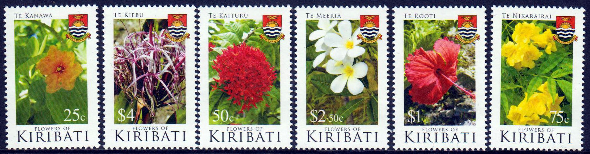 Blumen 2017