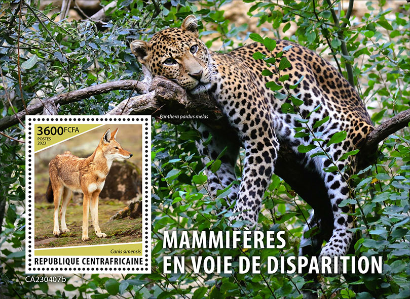 Block: Gefährdete Tiere 2023, Wolf