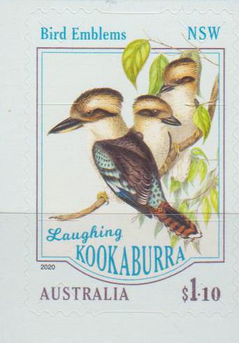 Kookaburra 2020, sk, a.MH