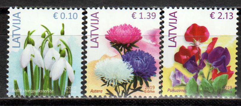 Blumen Neudruck 2019