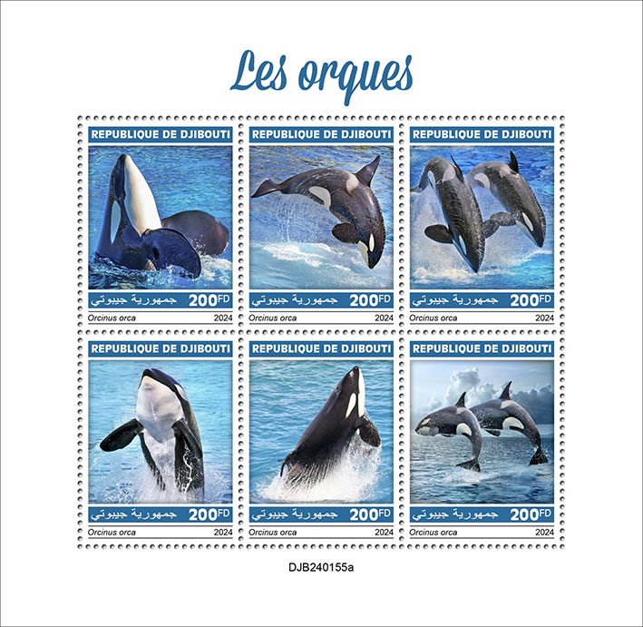 Orcas 2024