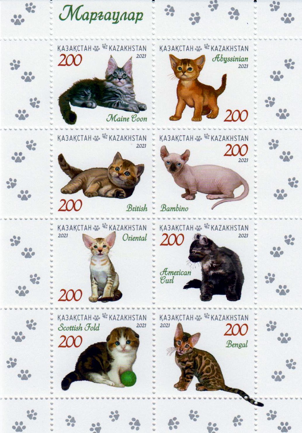 Zdr. Katzen 2021