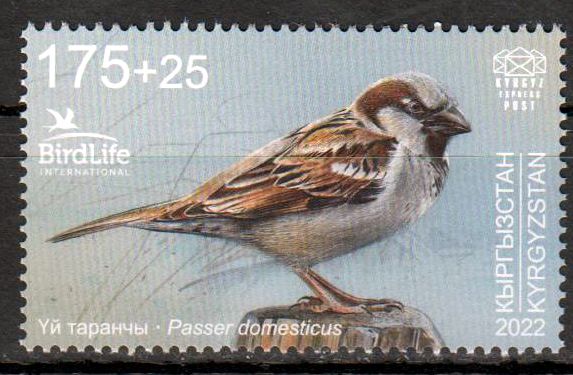 Vogel des Jahres IV  2022, Haussperling