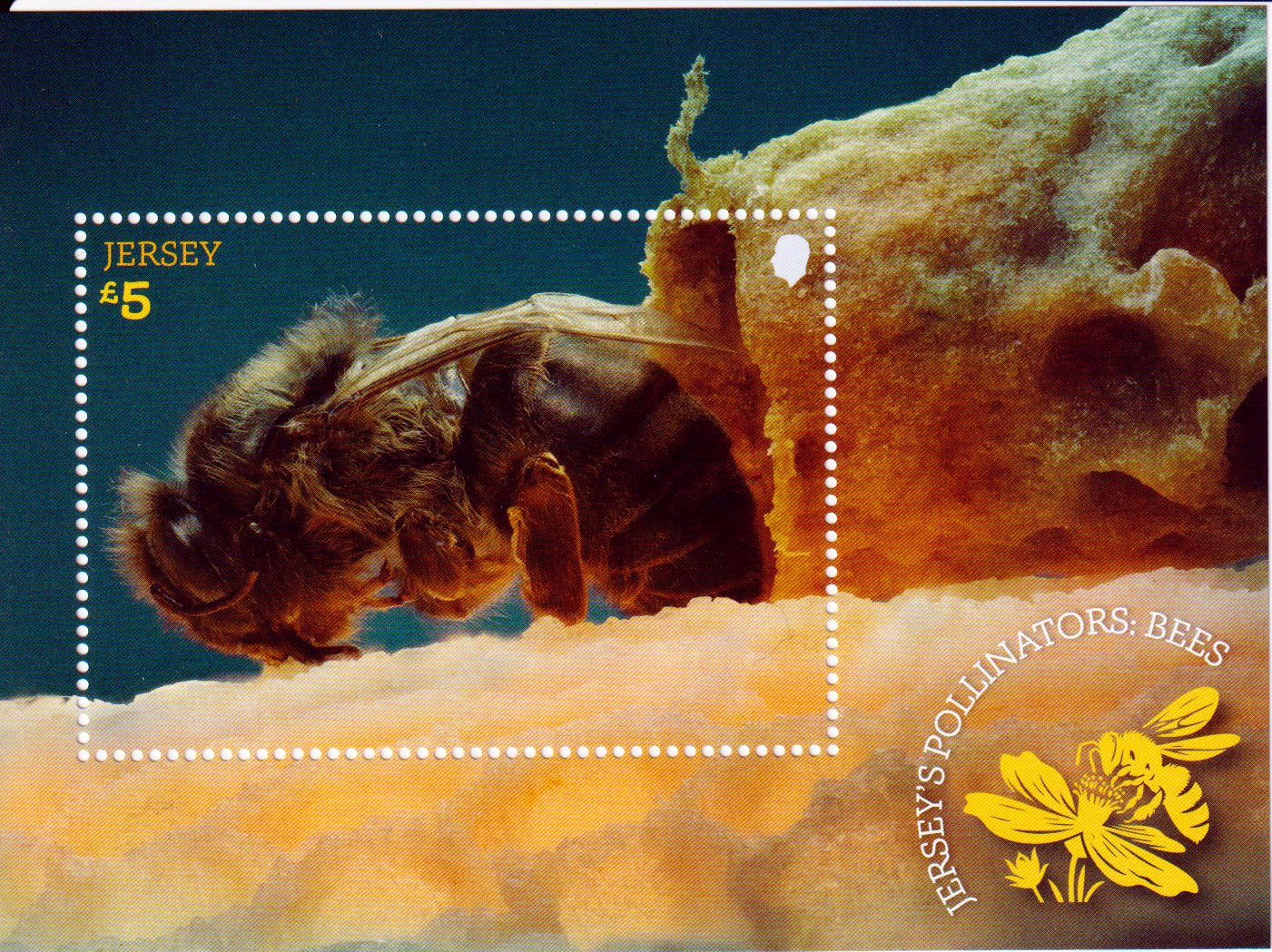 Block: Bienen 2026