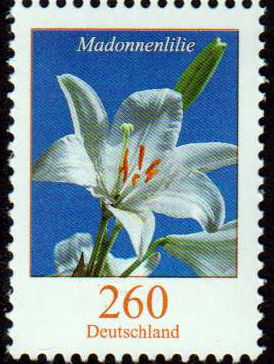 Dauer: Madonnenlilie, mit Nr, Nachauflage 2017