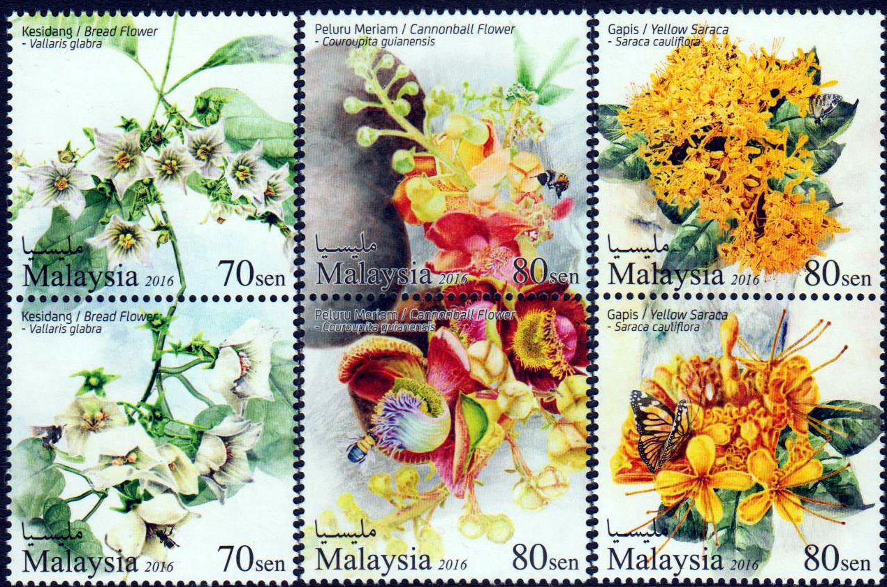 Blumen II, Bunga (P05)