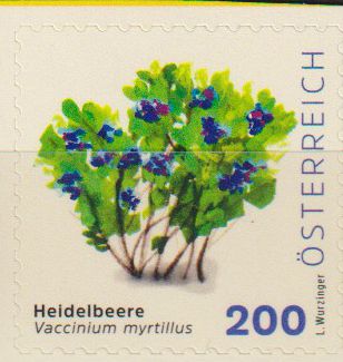 Dauer: Heidelbeere 2026, sk