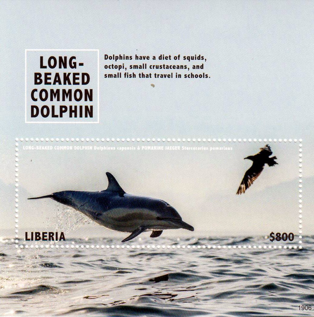 Block: Delphin 2019
