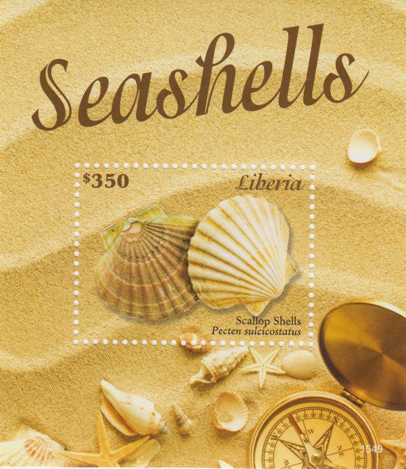 Block: Meeresmuscheln 2015