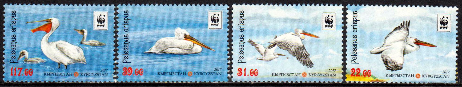 WWF 2017, Pelikane
