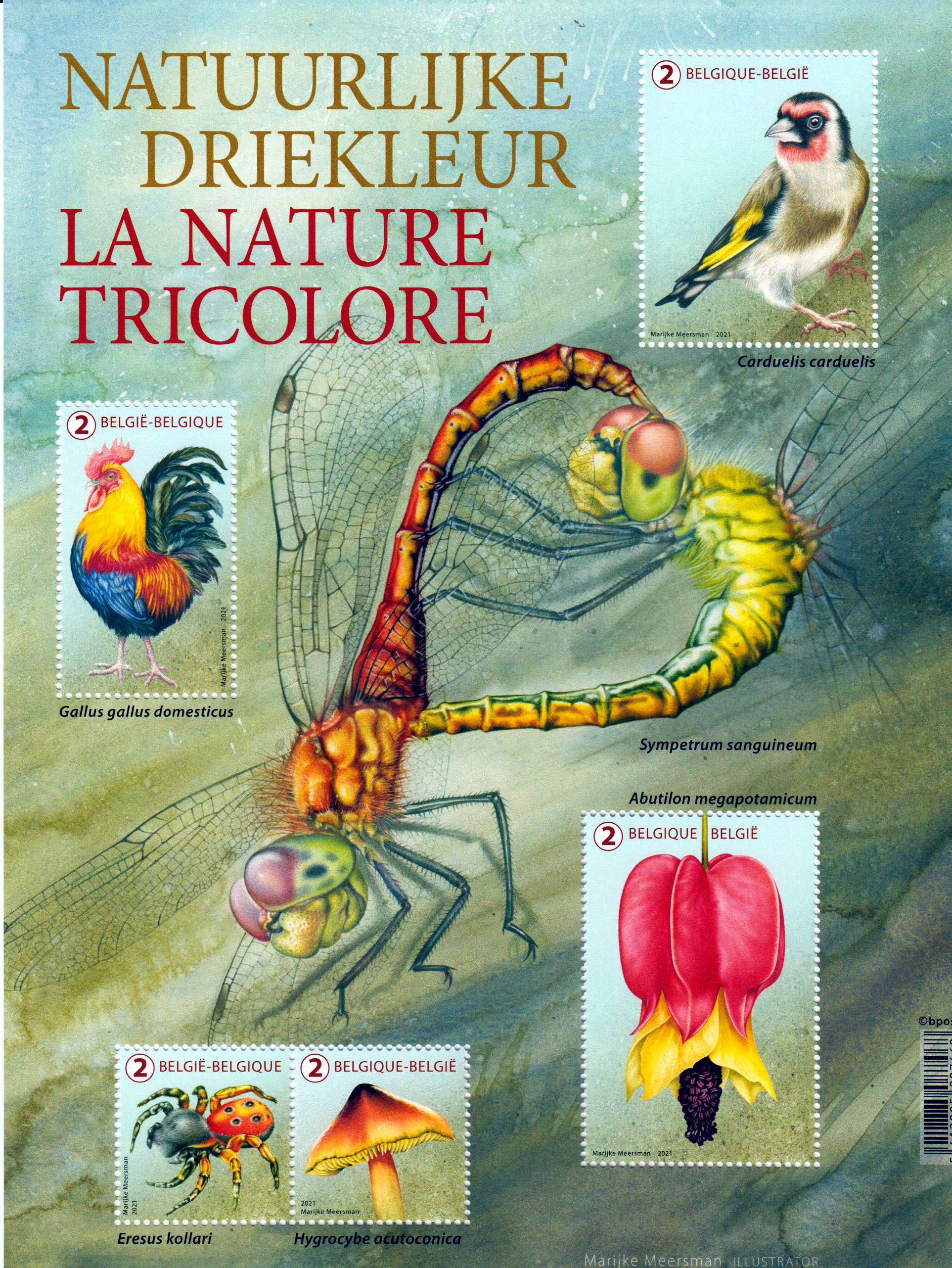 Block: Natürliche Tricolor 2021, Stieglitz, Hahn, Spinne