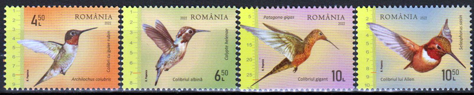 Kolibris 2022