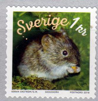 Waldwühlmaus, sk, v. Rolle