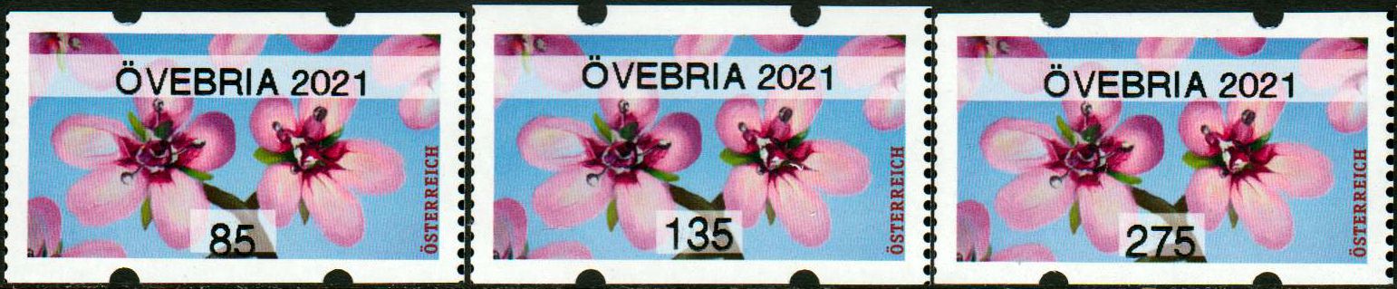 Sommer 2021, Reiherschnabel, mit Aufdruck "Överbria 2021"