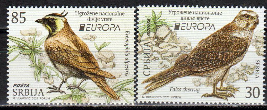 Europa 2021, Lerche, Falke