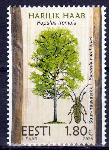Waldbäume 2026, Espe
