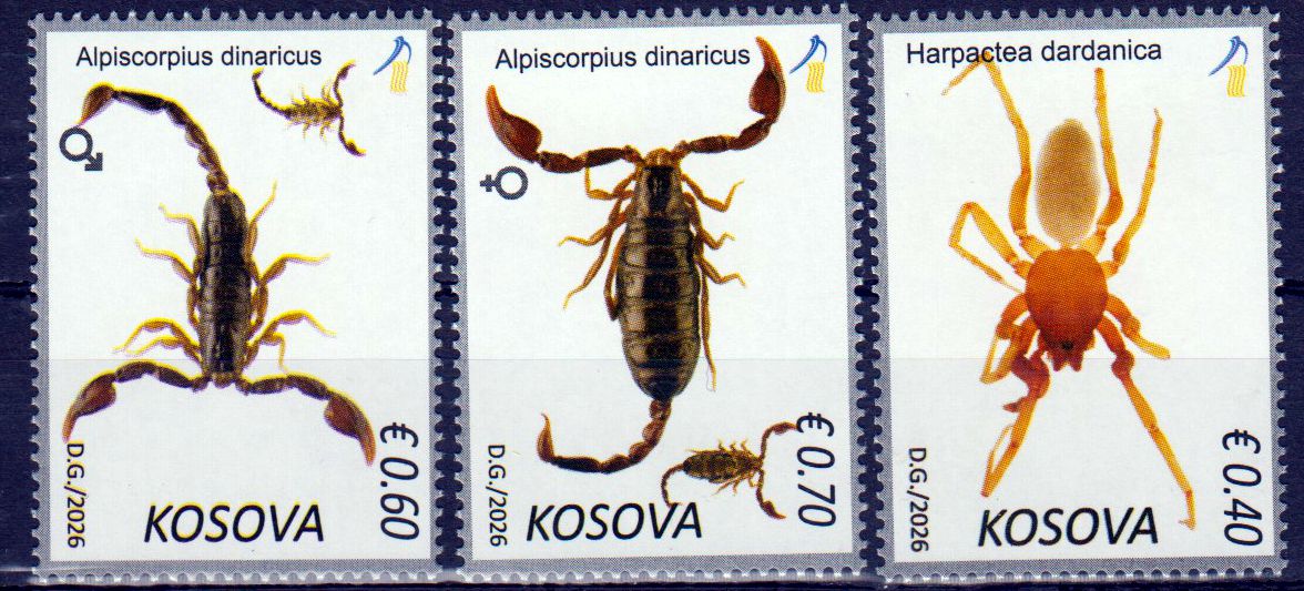 Dauer: Fauna 2026, Spinnen & Skorpione,  grauer Rand