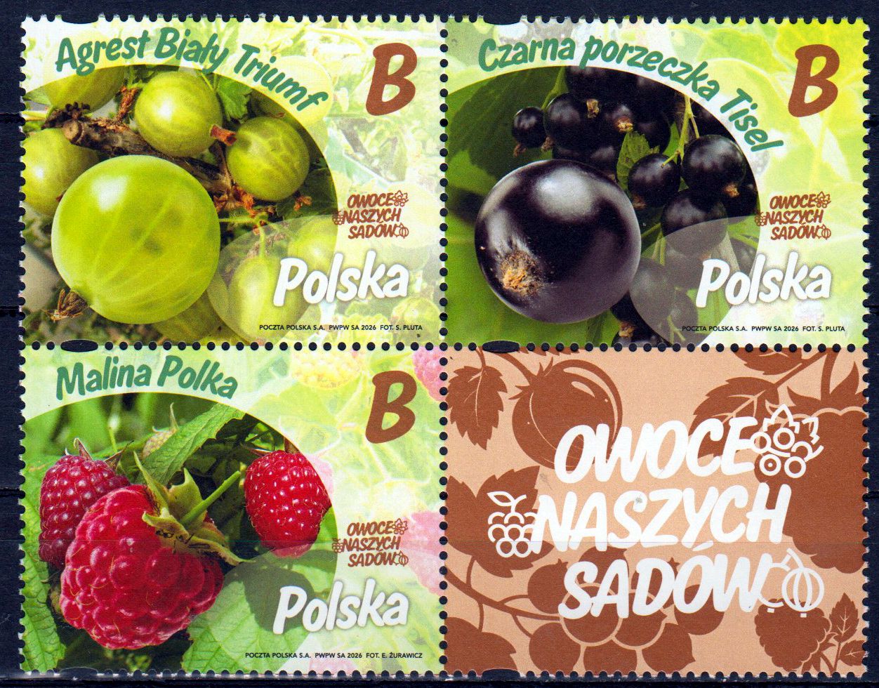Früchte unserer Obstgärten 2026