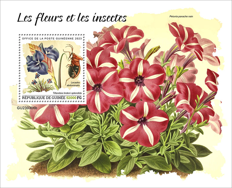 Block: Blumen und Insekten 2023